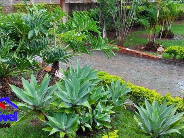 #CH422 - Chácara para Venda em Boituva - SP