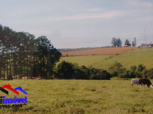 #CH872 - Chácara para Venda em Boituva - SP