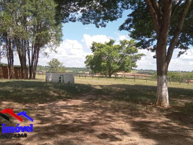 #HA1046 - Haras para Venda em Boituva - SP - 3