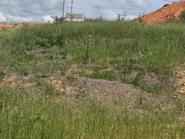 #TE1473 - Área para Venda em Boituva - SP - 2