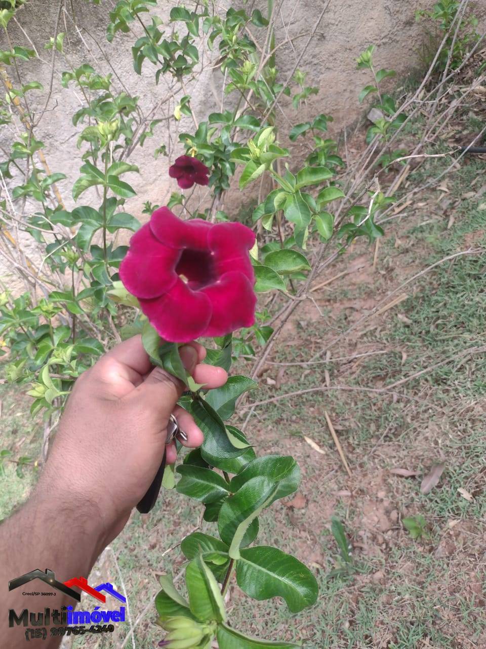 Terreno, 1756 m² - Foto 3