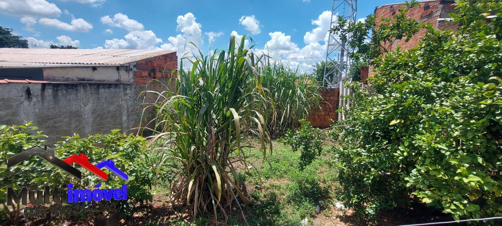 Casa, 3 quartos - Foto 9