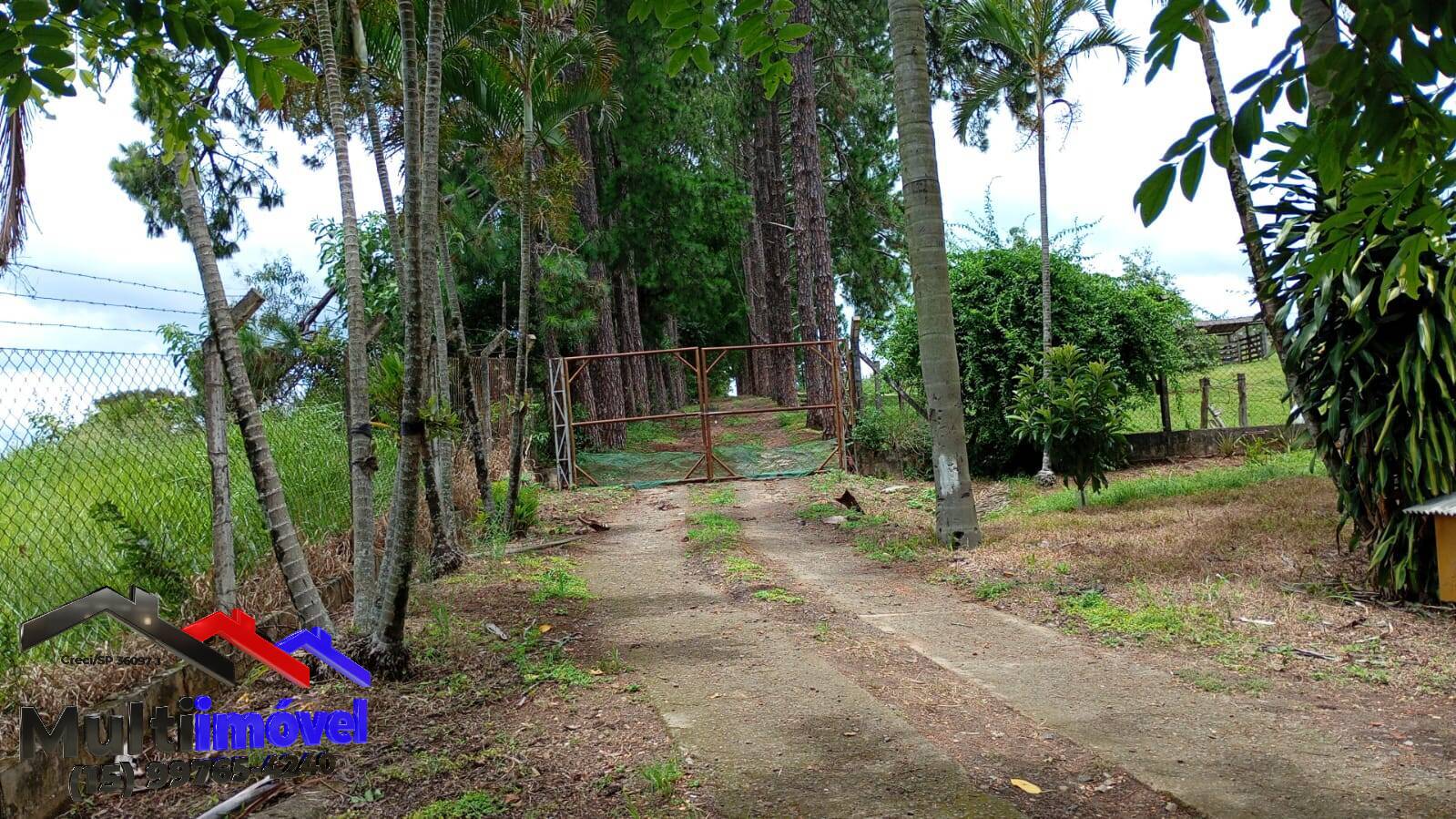 Sítio, 4 quartos, 2 hectares - Foto 2